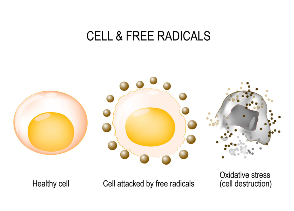 Cell and Free radicals