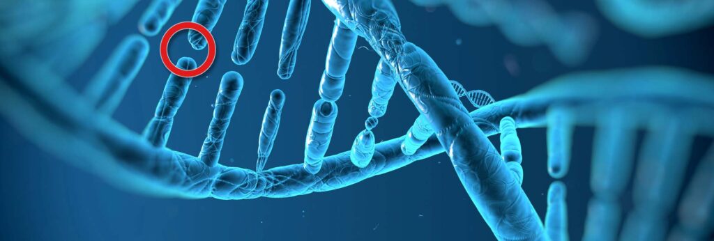 Short Telomere Syndrome